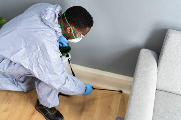 Real Estate Pest Inspections in Pine Island, MN